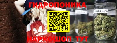 спайс Берёзовский