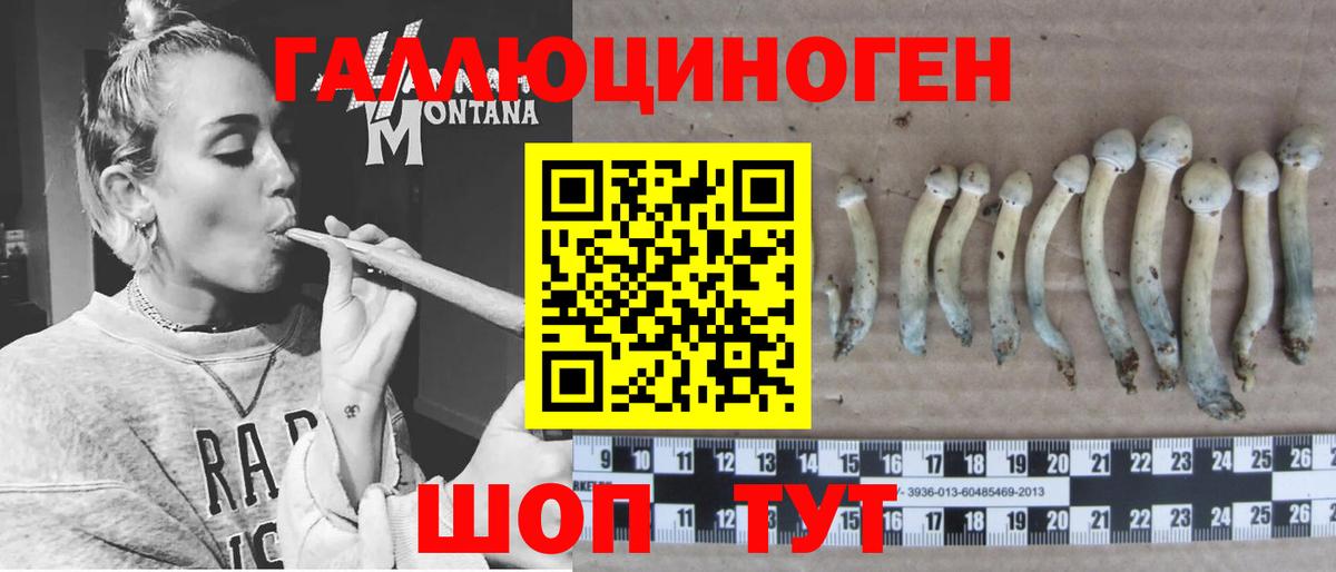 Галлюциногенные грибы прущие грибы  Ишим  Псилоцибиновые грибы ЛСД 
