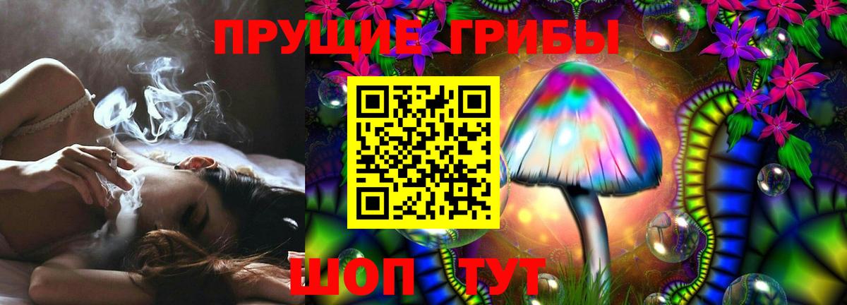 Галлюциногенные грибы прущие грибы  Вход с VPN  Ишим  купить наркотики сайты  Псилоцибиновые грибы мицелий 